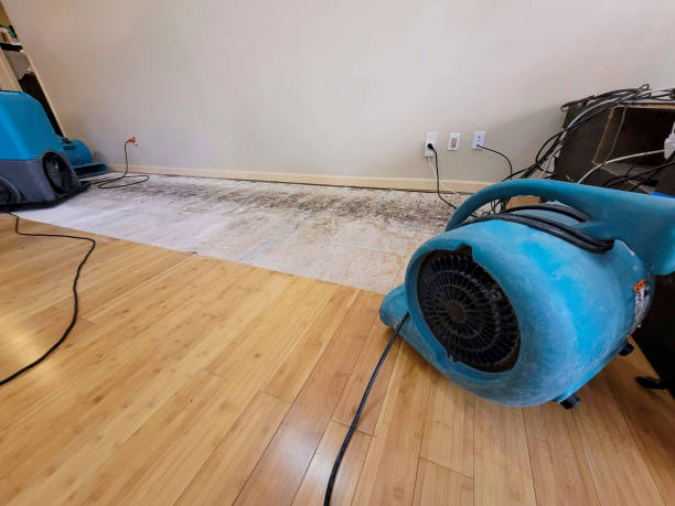 Professional Water Damage Repair technician working in Harpster, OH